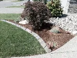 TyDe Garden and Landscape Design Courtenay photo 8