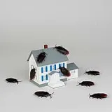 Precision Pest Service, LLC photo 3