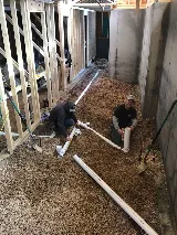 Quality Plumbing & Service, LLC photo 7