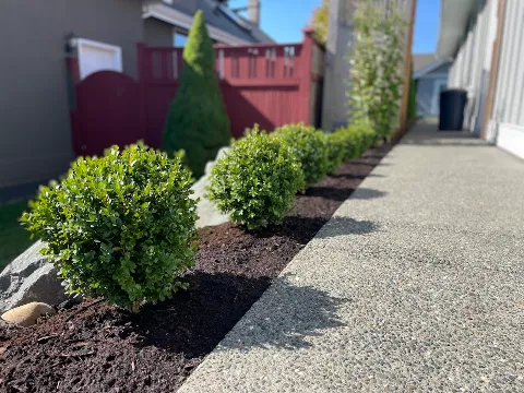 Salix Landscaping photo 1