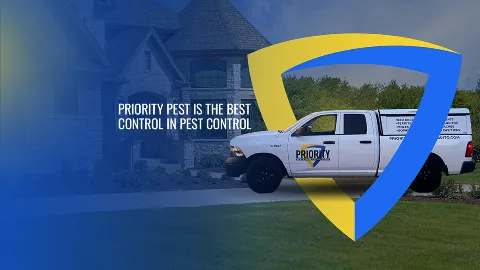 Priority Pest & Mosquito Solutions photo 1