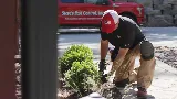 Steve's Pest Control photo 5