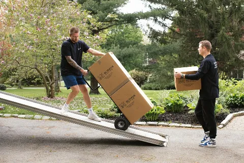 Octopus Moving and Storage in Providence