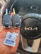 Lucky Owl Lock & Key photo 6