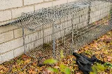 All Seasons Pest Control Inc. photo 8