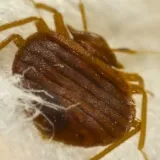 Mid Central Pest Control photo 5