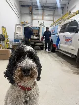 TemperaturePro Saskatoon photo 5