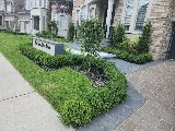 Kenneth Morgan Pools & Landscaping photo 4