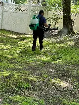 DLS Pest Solutions photo 6