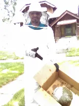Humberto's Pest Management Services photo 5