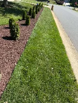 Landscaping NC photo 5