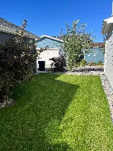 Green Magic Lawn and Landscape photo 2