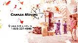 Canada Moving photo 6