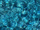The Pool Specialist photo 8