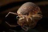 Family Pest Control photo 3