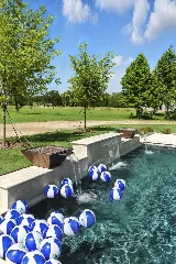 Cactus Pool Designs photo 8