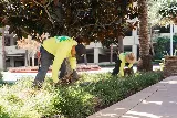 W BROTHERS LANDSCAPE, Inc. photo 8