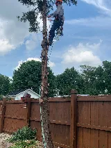 Quality Lawn & Landscape Bros. photo 2