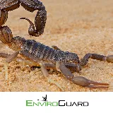 EnviroGuard Pest Control photo 3