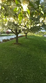 Hawker Landscaping Solutions photo 8