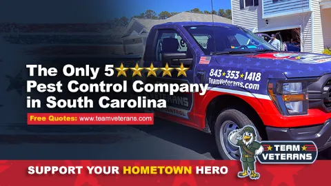 Team Veterans Pest Control in Myrtle Beach