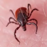 Maximum Pest Management photo 3