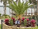 Little Green Landscaping Inc photo 7