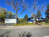 Al's Landscaping Services photo 6