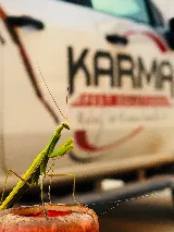 Karma Pest Solutions