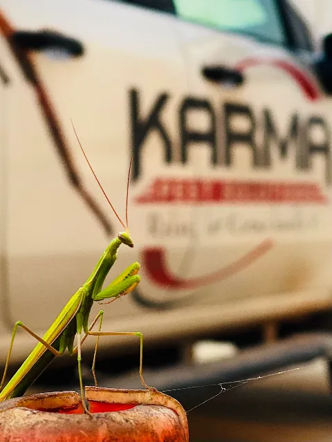 Karma Pest Solutions in Rapid City