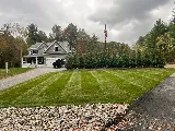 VIP Landscaping photo 5