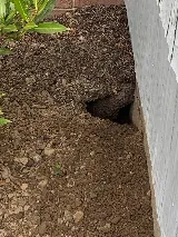 Get'm Pest Control & Exterminator In Jersey City photo 7