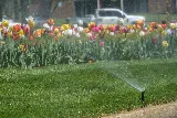 Quality Cut Lawn Care photo 5