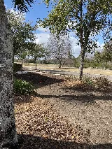 Thorn Lawn & Sod Contractors, LLC. photo 6