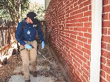 Alta Pest Control photo 7