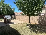 GFA Masonry and Concrete photo 8