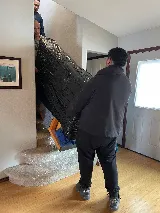 Green Gorilla Movers photo 6