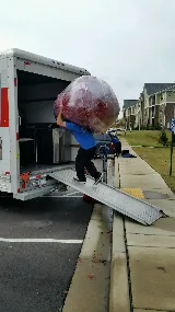 Marigold Movers photo 8