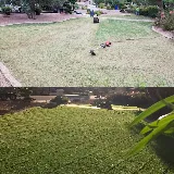 Arizona’s Landscaping Authority LLC photo 4
