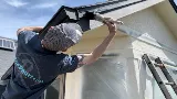 Roe Painting photo 7