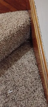 Jerry's Pest Control Service photo 2