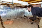 Pest & Termite Consultants photo 6
