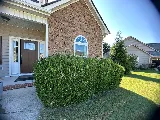 Moses Landscaping photo 5