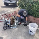 Paws Plumbing photo 8