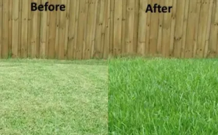 Mr. B.'s Landscaping & More LLC in Atlantic City