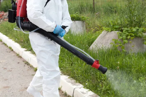 Jersey City Elite Pest Control photo 1