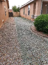 Preventive Pest Control - Albuquerque photo 6