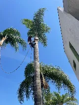 Elacio’s Gardening and Landscaping