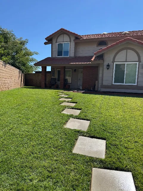 A&M landscaping in San Bernardino