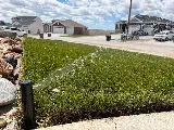 Best Bet Lawn Care photo 5